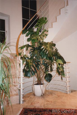 Treppe 18